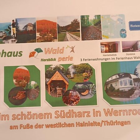 Ferienhaus Waldperle Harzblick Wernrode エクステリア 写真