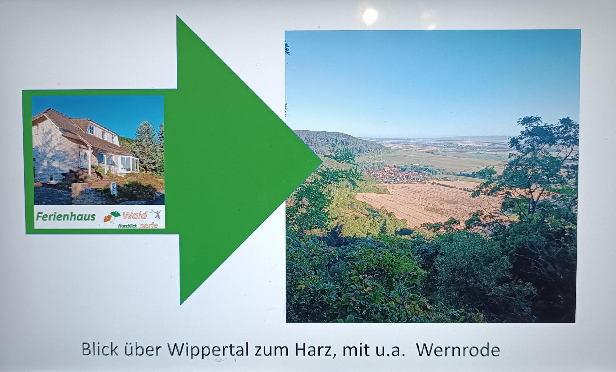 Ferienhaus Waldperle Harzblick Wernrode エクステリア 写真