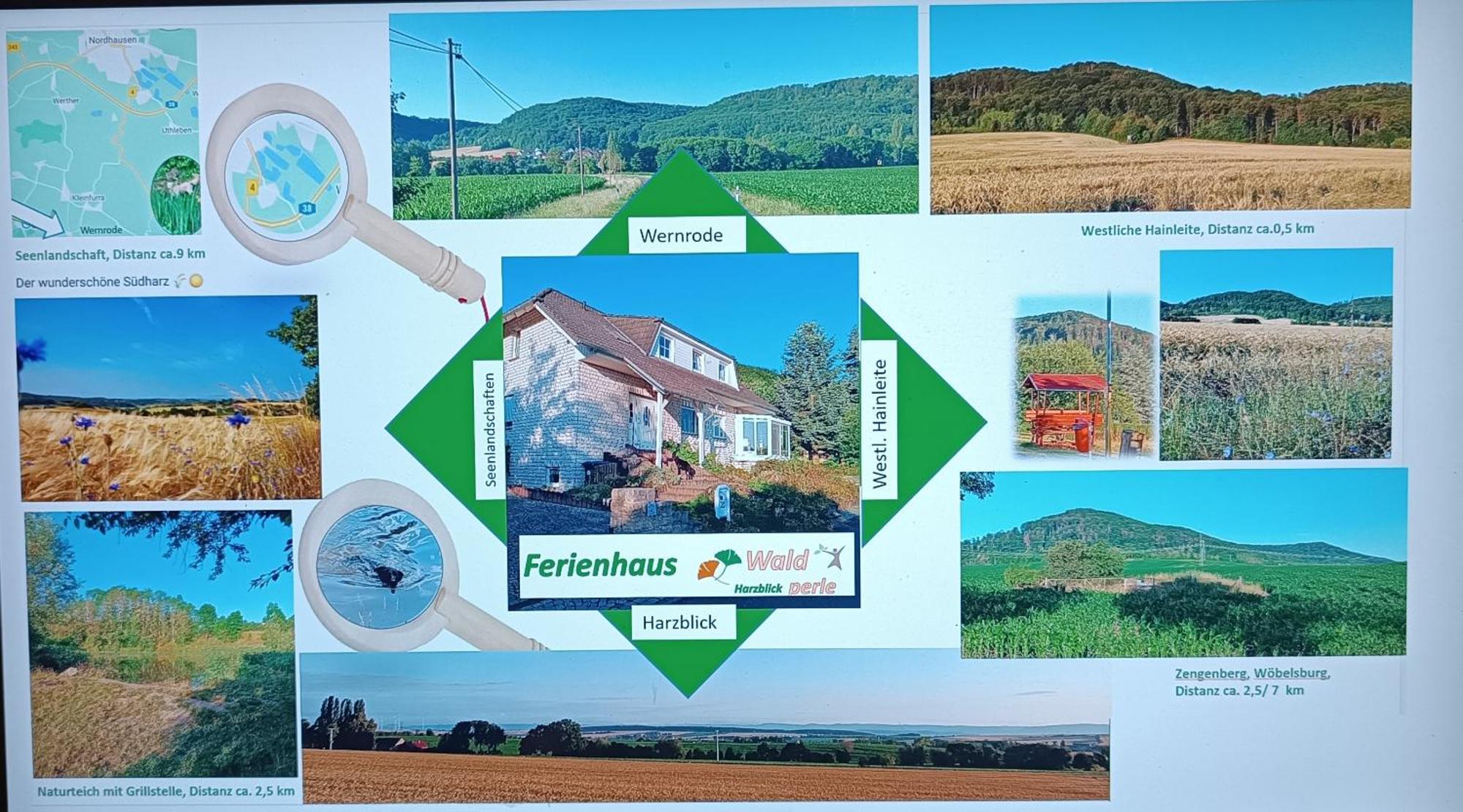 Ferienhaus Waldperle Harzblick Wernrode エクステリア 写真