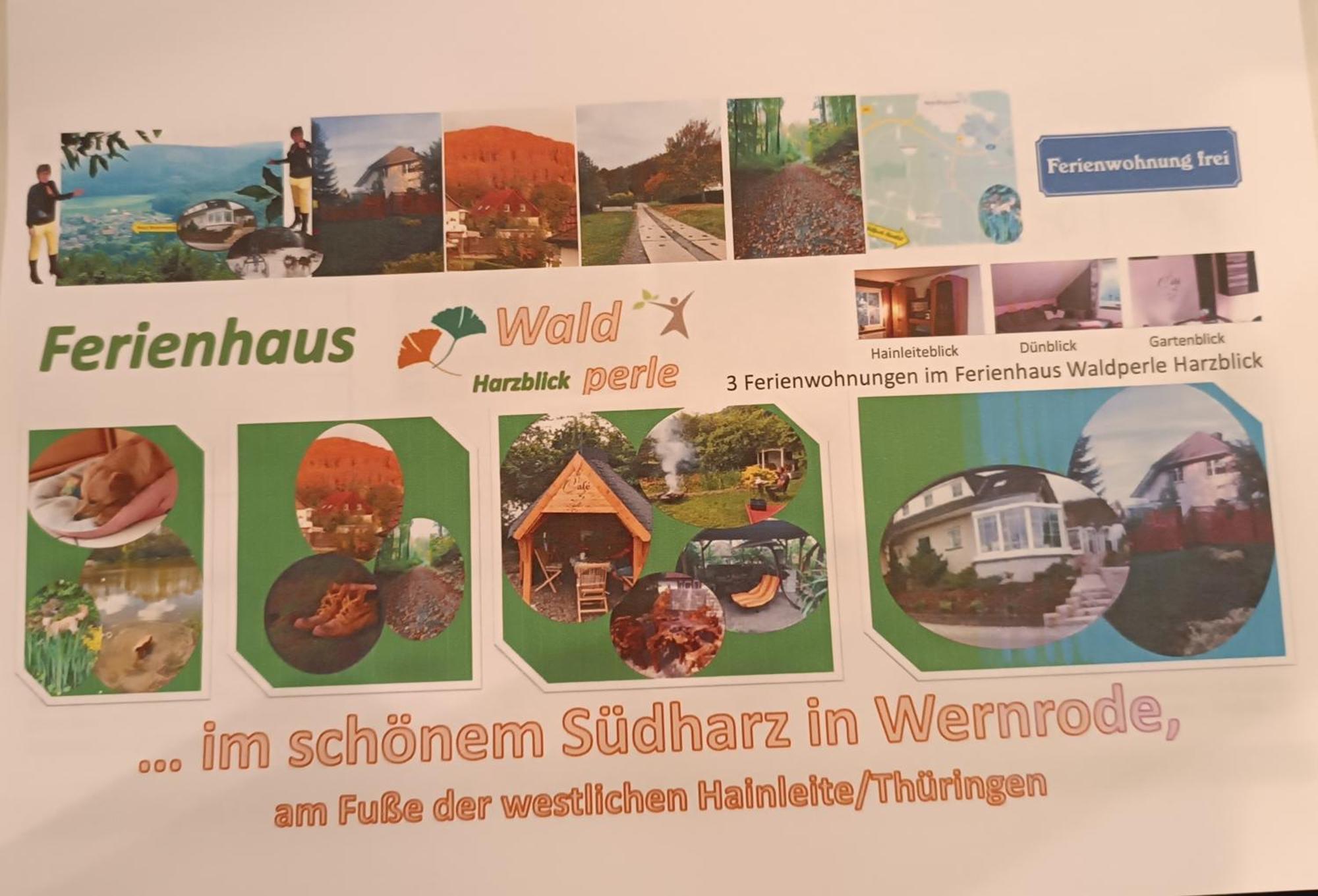 Ferienhaus Waldperle Harzblick Wernrode エクステリア 写真