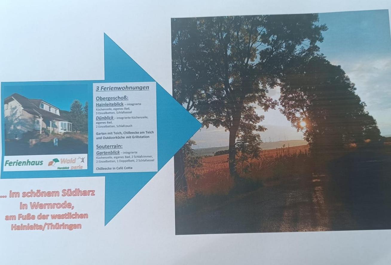 Ferienhaus Waldperle Harzblick Wernrode エクステリア 写真
